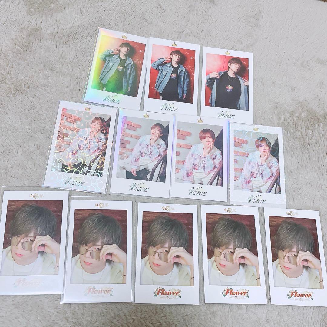 浦島坂田船】うらたぬき 実写 チェキカード - メルカリ