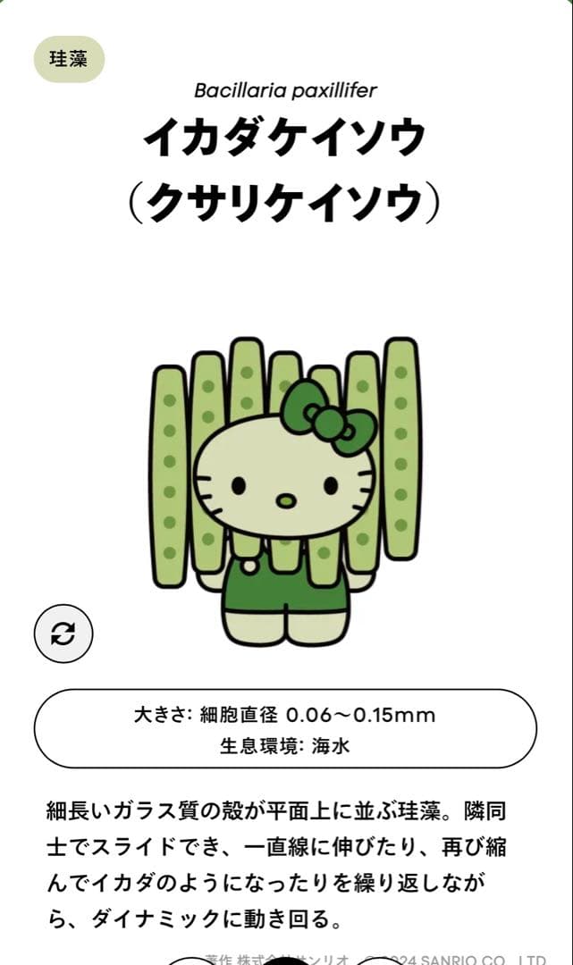 関西万博 日本館限定 藻キティ ピンバッチ【イカダケイソウ】（クサリ