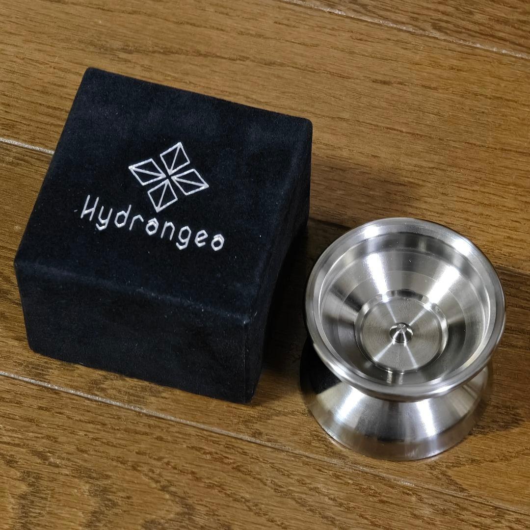 Hydrangea ハイドランジア ベルベリス Hydrangea Macrophylla Libelle – Hydrangeas Plus