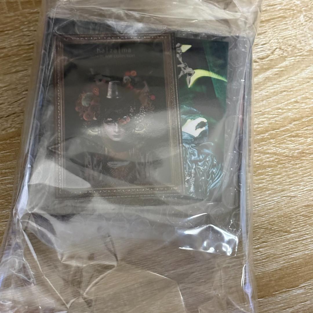 【新品】hazama 惹きずり込まれる運命のアイシャドウ black