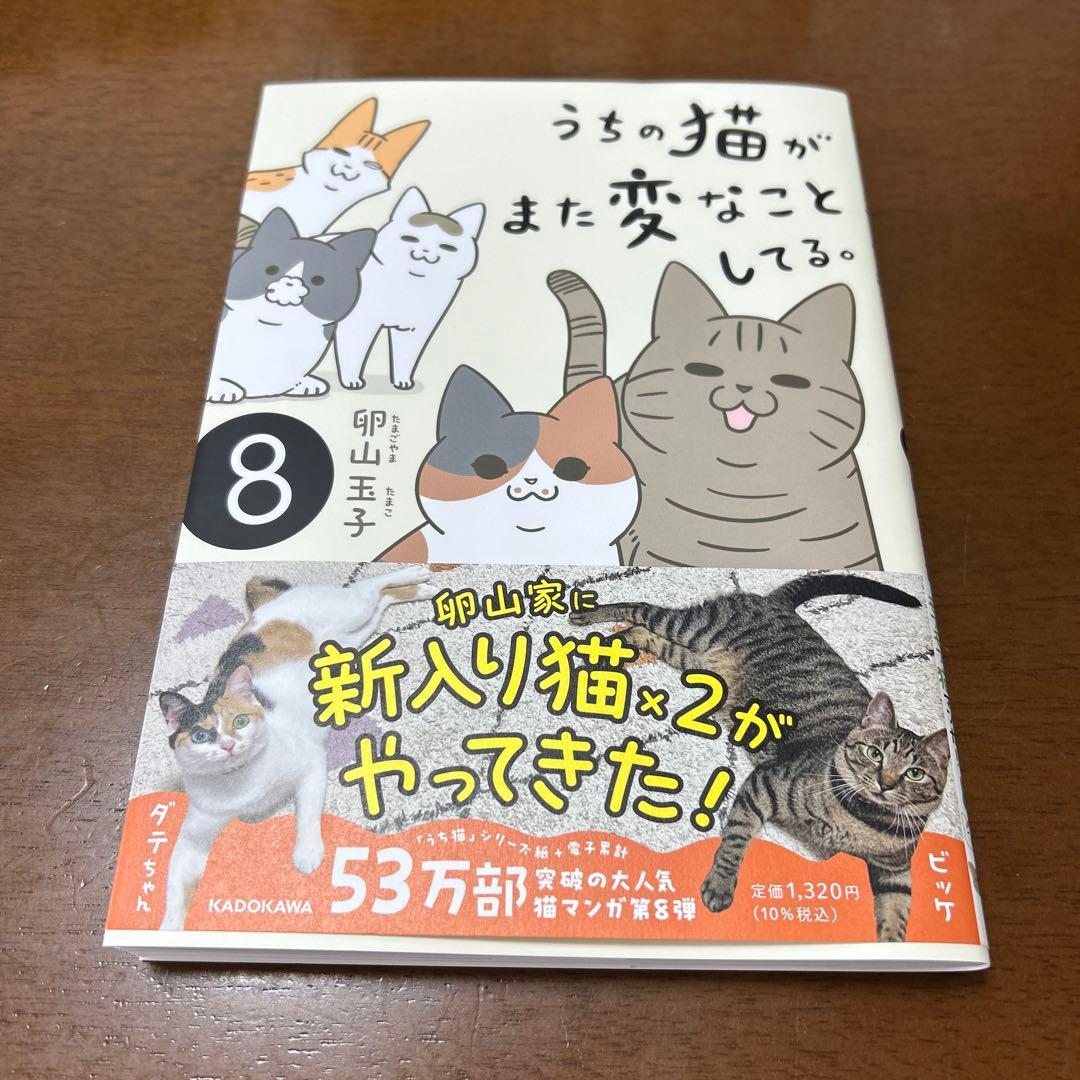 うちの猫がまた変なことしてる。8 - メルカリ