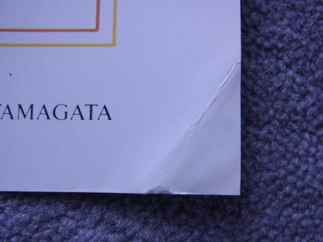 未使用品 非売品 ポスター ヒロ・ヤマガタ 森の蝶々 アート 山形博導