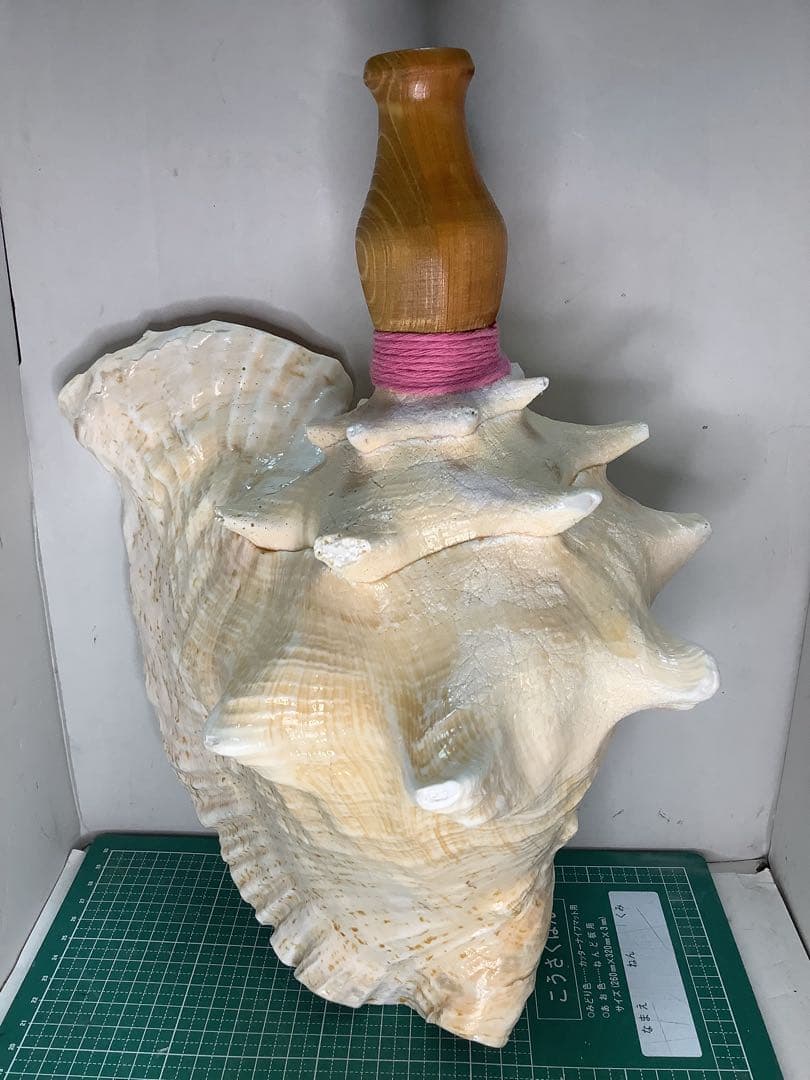 01・ピンクガイ・法螺貝・山伏・修験者・豊臣兄弟・羽黒山・縁起物