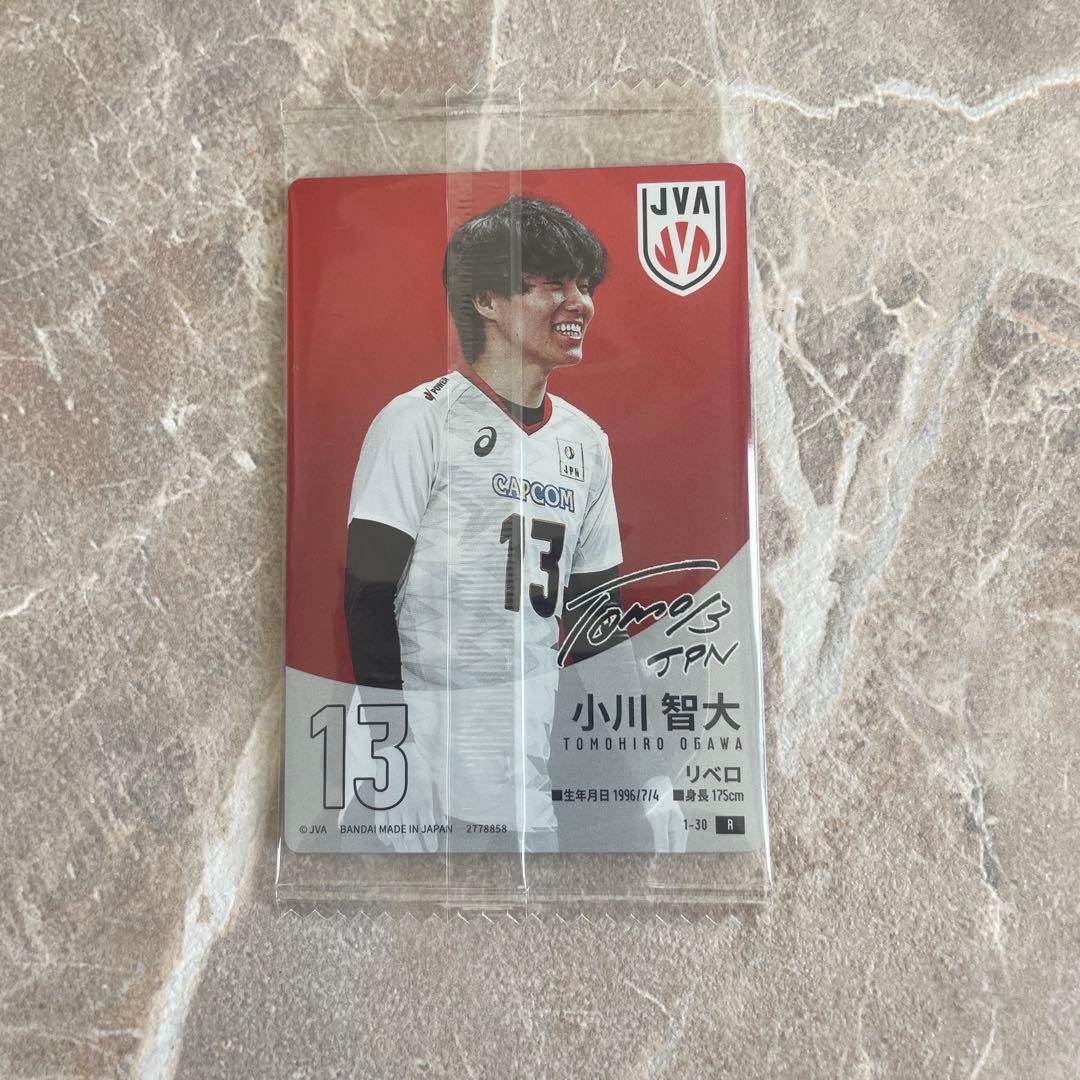 男子バレーボール ウエハース 小川智大 レア 箔押し サイン - メルカリ