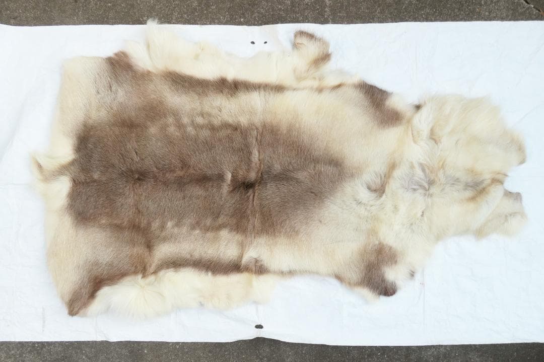 トナカイ　毛皮　　ラグ　敷物　キャンプ　ブッシュクラフト 楽天市場】トナカイ毛皮 マット ラグ 敷物 天然 スウェーデン直輸入