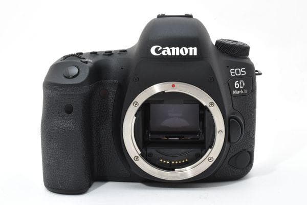 【美品】 Canon EOS 6D Mark II 《ショット数3053回》