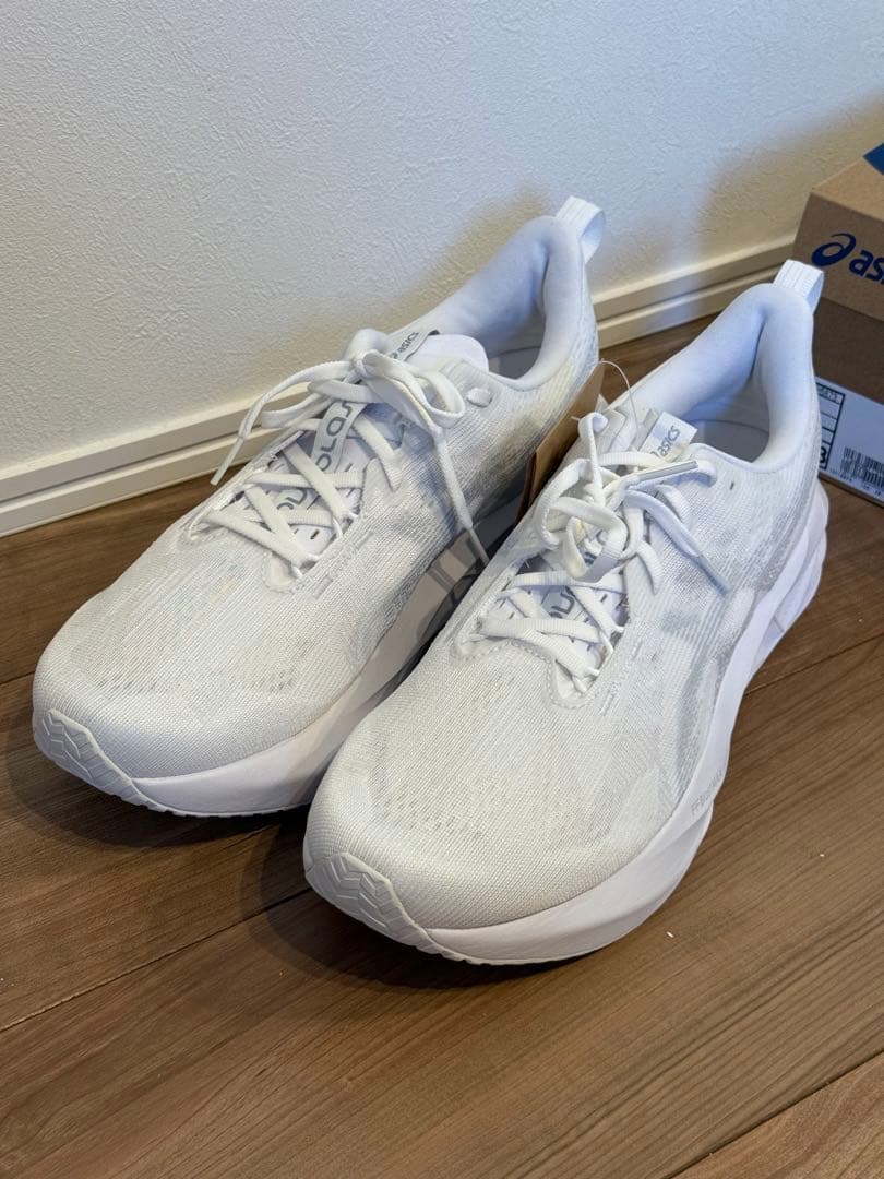 アシックス ノヴァブラスト5 29cm ASICS】 アシックス NOVABLAST 5 ノヴァブラスト 5 1011B974.400