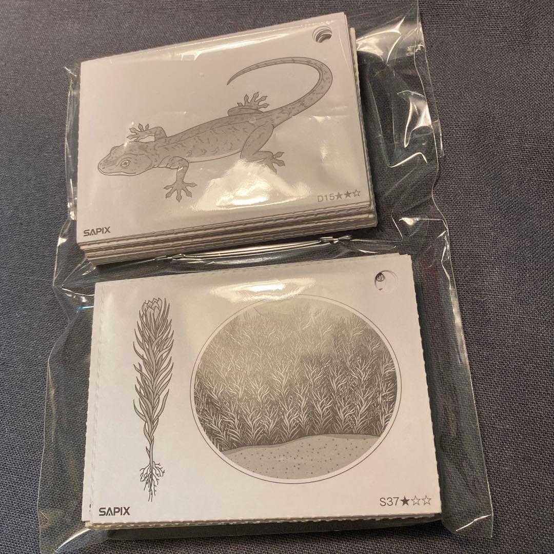SAPIX理科 植物カード、動物カード全80枚 - メルカリ