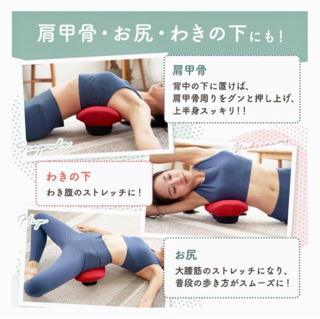 東急スポーツオアシスAir Slimer☆エアスリマー☆ブラウン - メルカリ