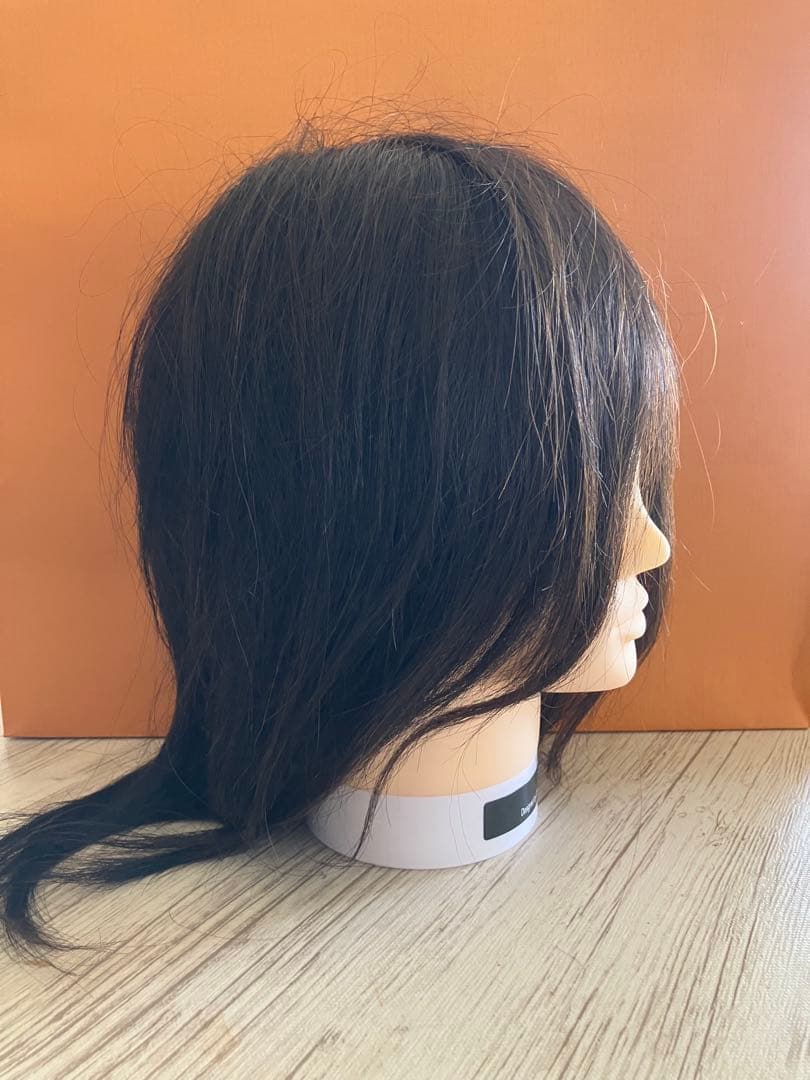 カットウィッグ 東京チャーム　三矢　練習用（No.24-12-13）他　計5体