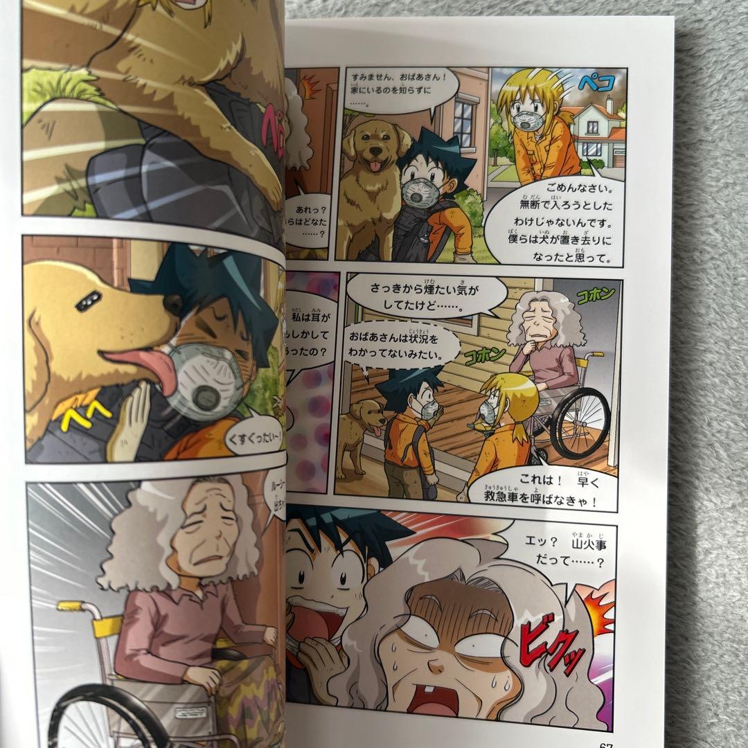 山火事のサバイバル 2 - メルカリ