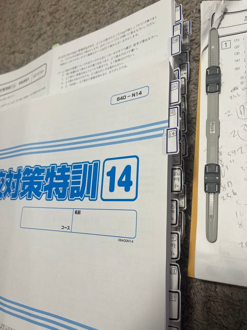 お値下【2025受験】グノーブル2024年9月〜1月 日特 志望校対策（早稲田