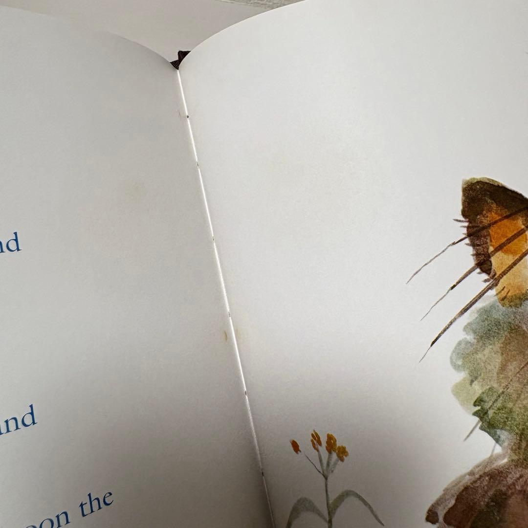 洋書絵本】希少！100万回生きたねこ 洋書 サイン入り！ - メルカリ