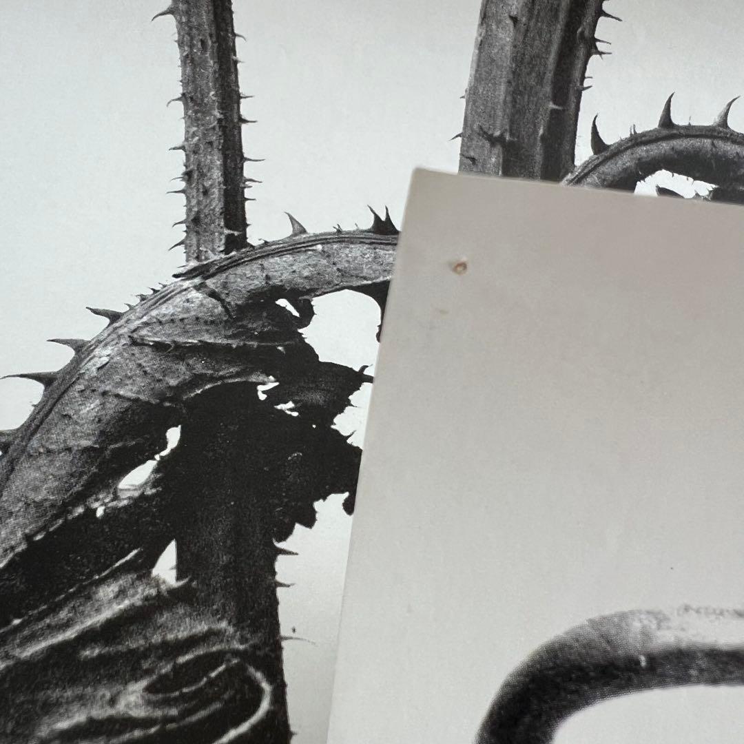 COMME des GARCONS 1989 カレンダー 印刷物 - メルカリ