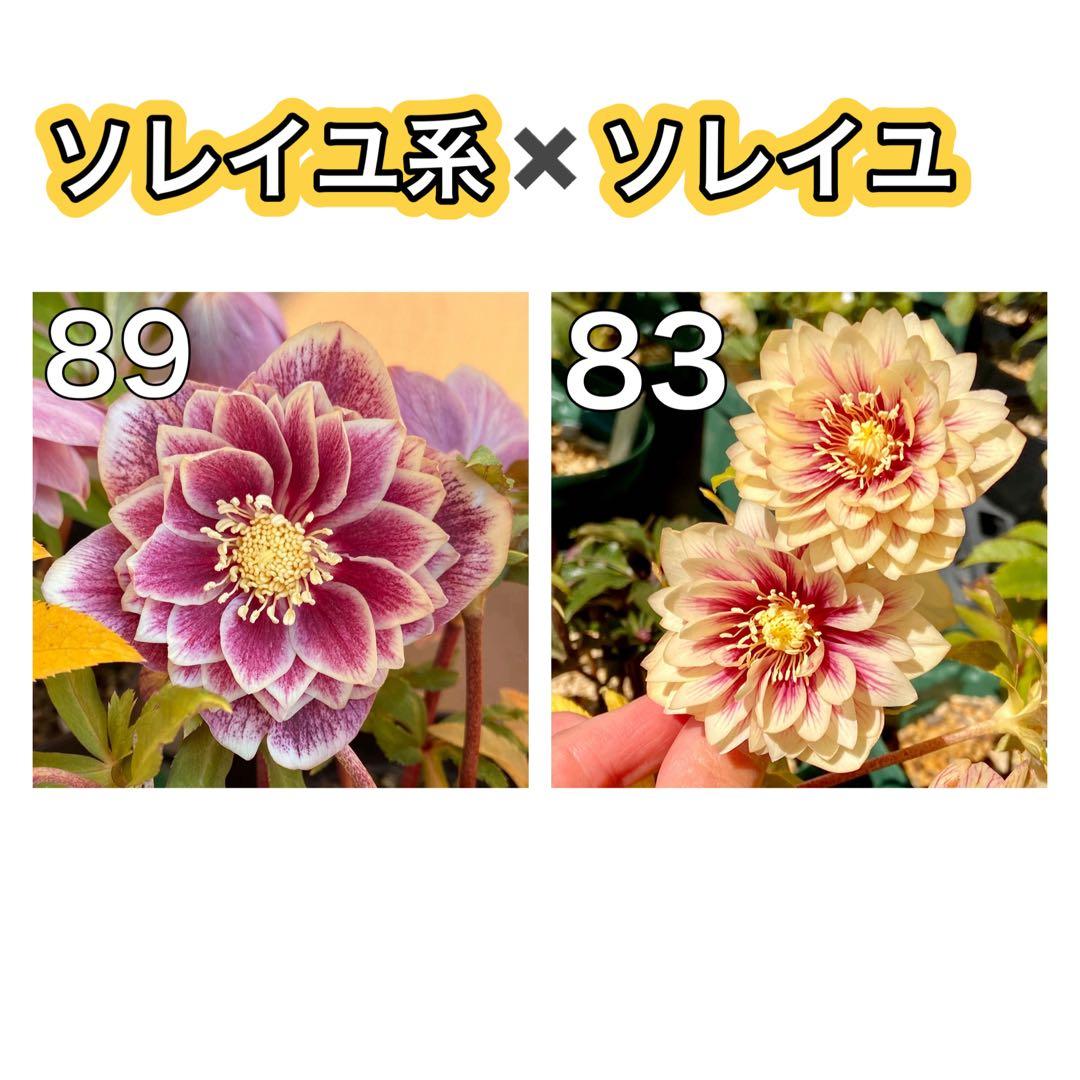 敦子様 リクエスト 4点 まとめ商品