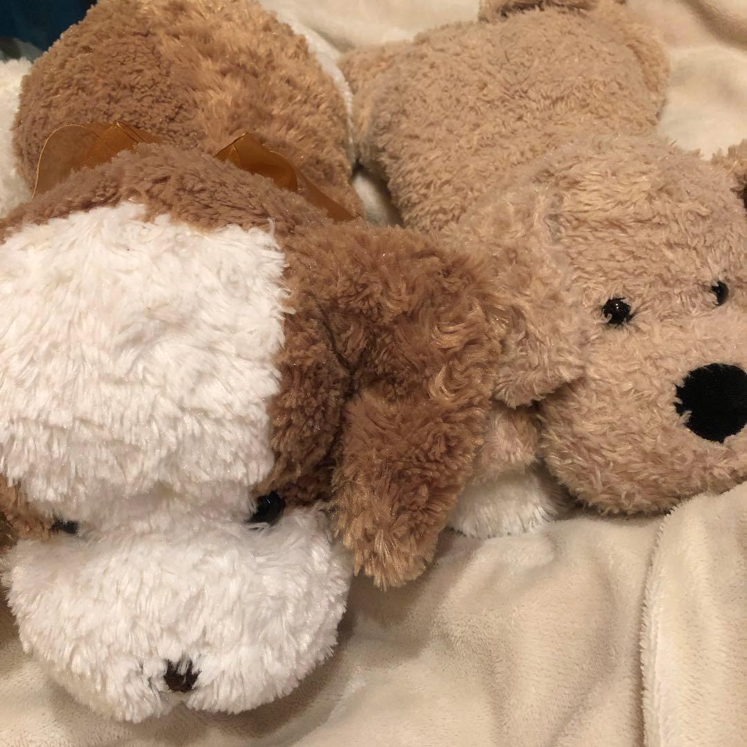 ANIMAL Aalley ぬいぐるみ セット いぬ アニマルアレイ トイザらス