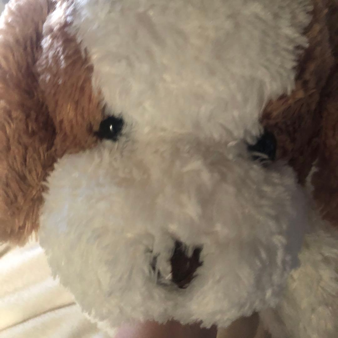 ANIMAL Aalley ぬいぐるみ セット いぬ アニマルアレイ トイザらス