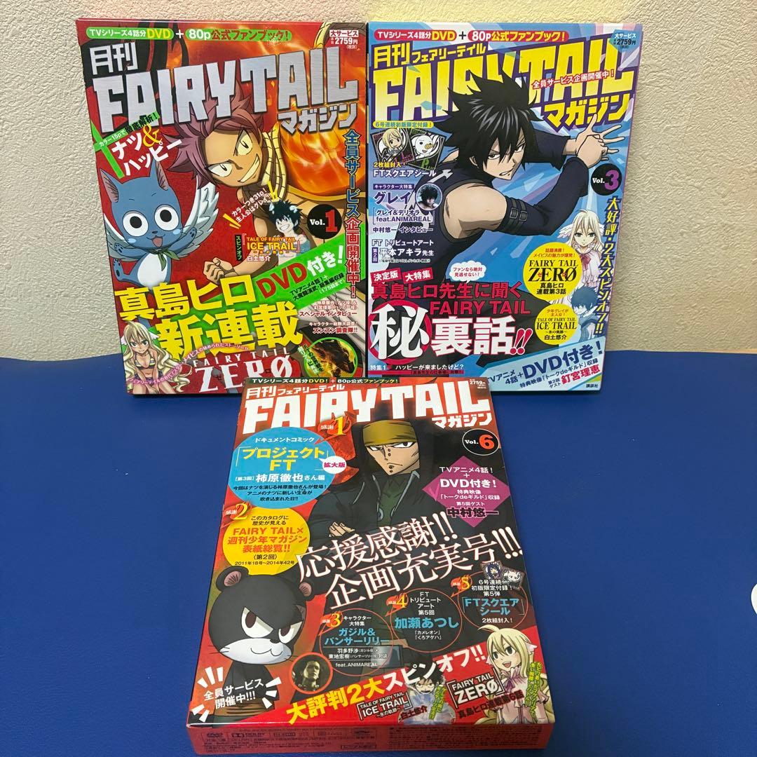月刊フェアリーテイルマガジン 3冊セット DVD付 - メルカリ