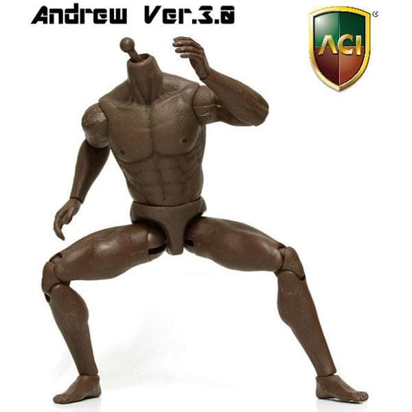 ACI TOYS 1/6 BODY SERIES ANDREW