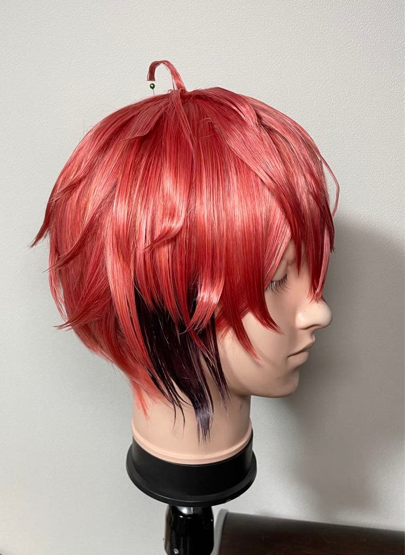 にじさんじ 赤城ウェン ウィッグ - メルカリ
