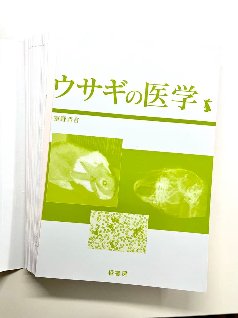 裁断済み ウサギの医学 霍野晋吉 著 - メルカリ