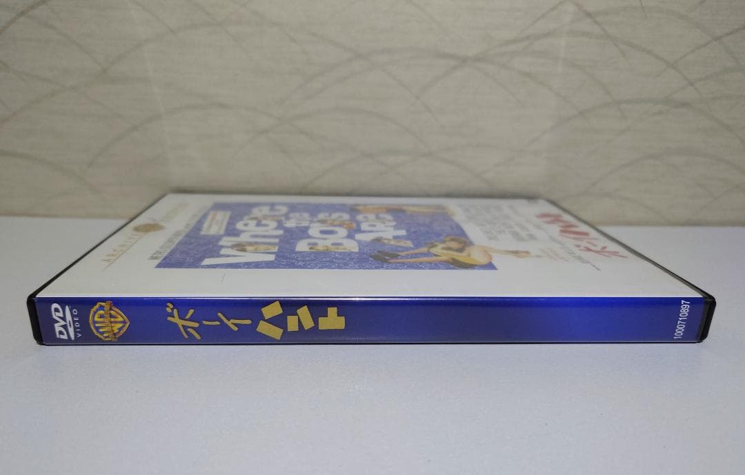 ★希少★ ボーイハント ［DVD］