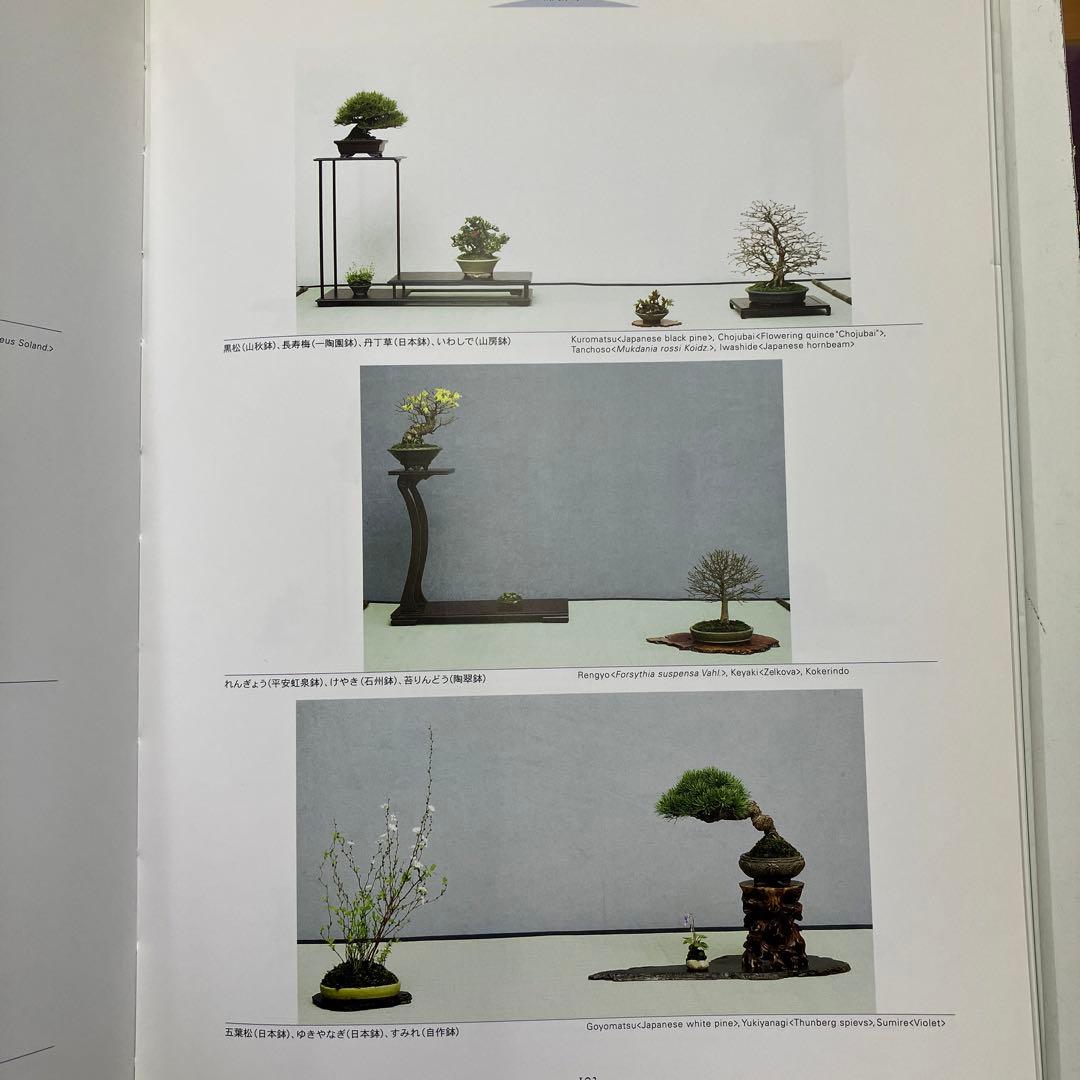 盆栽宇宙 THE MODERN BONSAI - メルカリ