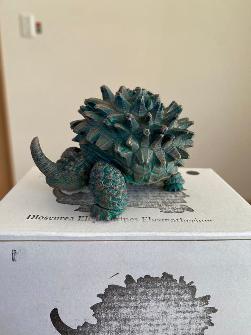 限定品/ブロンズ】長谷川ナーセリー OZWRT デオスコレア・エラスモテ