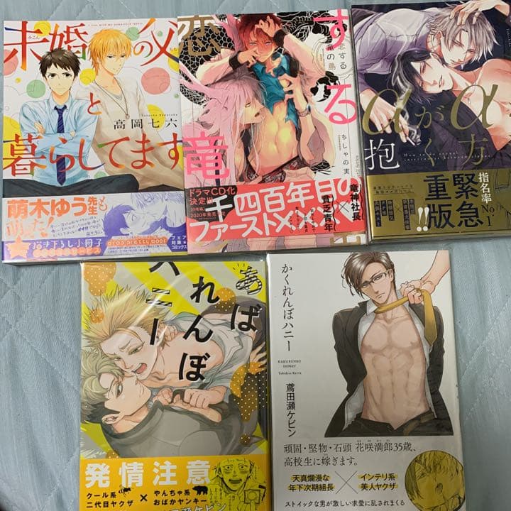 BL 漫画 26冊セット
