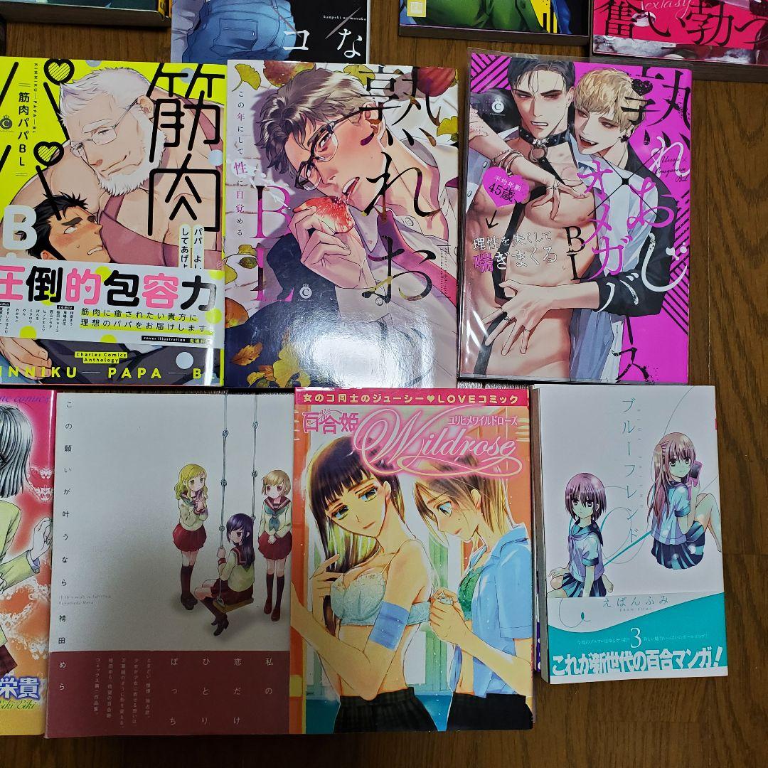 異世界系漫画BL漫画GL百合漫画少女漫画小説など112冊セットまとめ