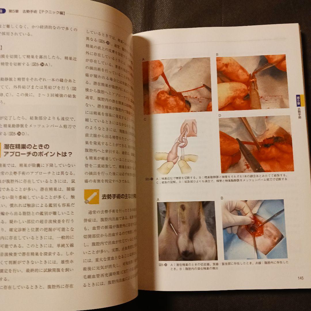 【匿名発送】小動物の実践外科学 ロジックで攻める!! 枝村一弥.著チクサン出版社