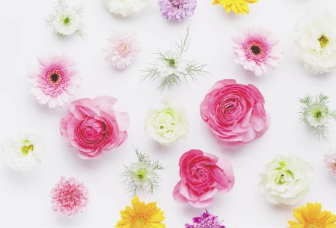 5台　リファレイ リファエスカラットレイ - ReFa S CARAT RAY | 商品情報 | ReFa