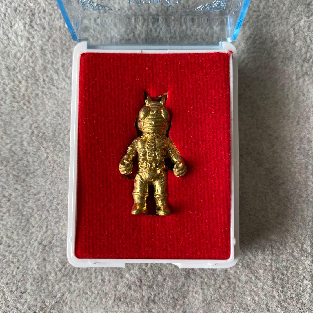 特別価格 プラクルアン プラシーデーンモット 仮面ライダー 危険回避