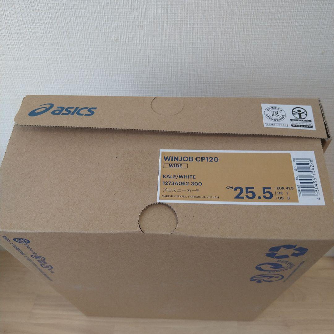 アシックス 安全靴 ウィンジョブ CP120 ケール×ホワイト 25.5cm