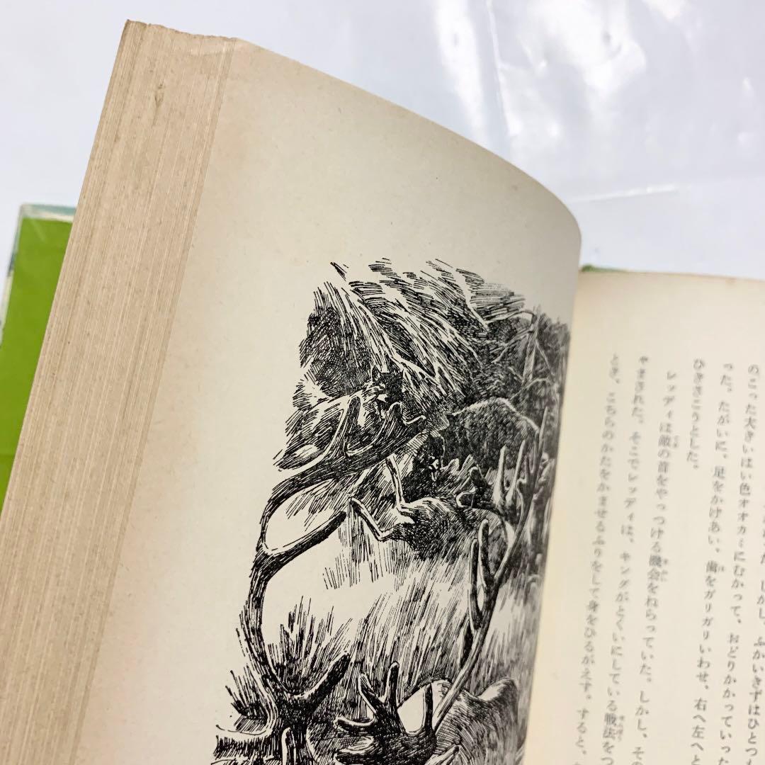 おおかみ犬レッディ 函入りハードカバー 初版本 リピンコット 前田