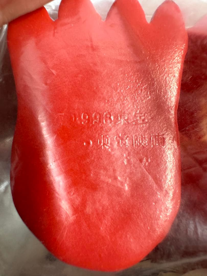 マルサン ホビー 電撃怪獣大作戦 キングギドラ ソフビ - メルカリ