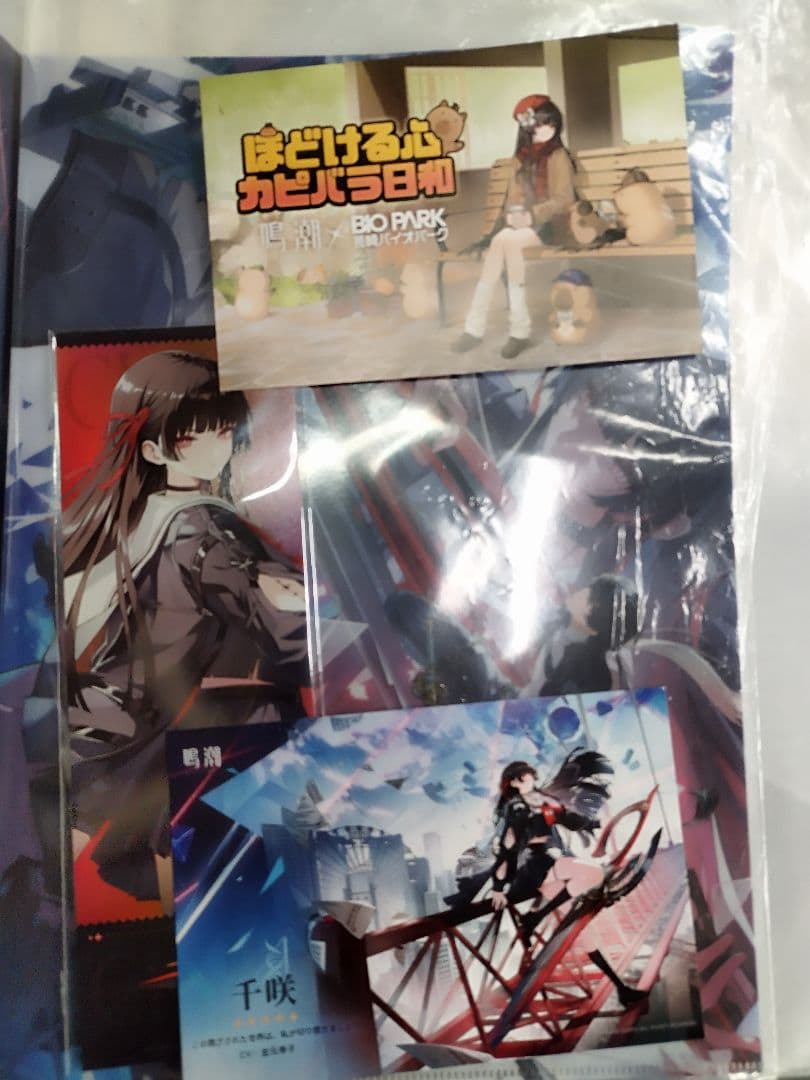 鳴潮 千咲 5点セット クリアファイル ポストカード×2 ホログラムチケット② 鳴潮 千咲 5点セット クリアファイル ポストカード 長崎バイオパーク