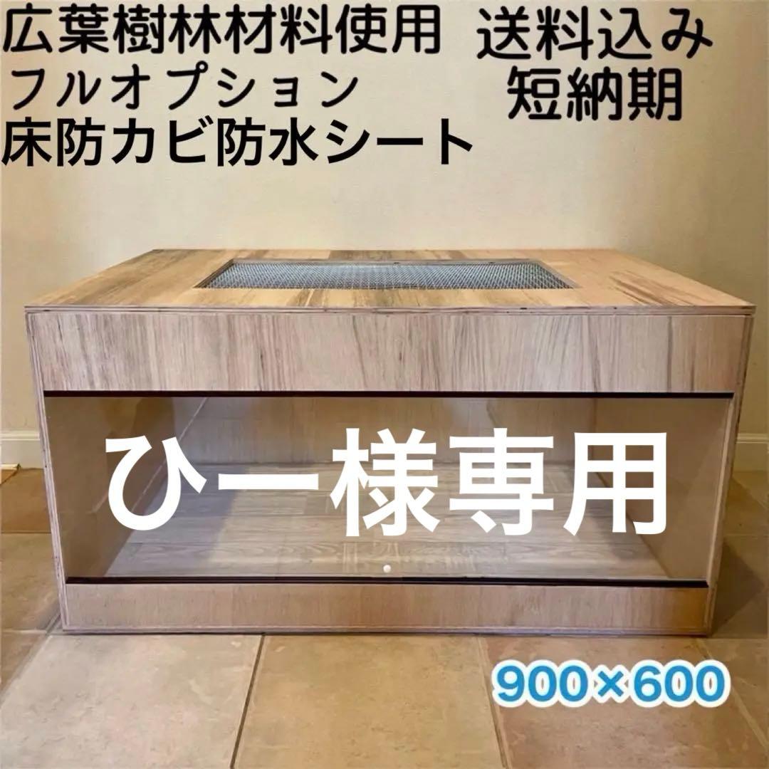 松茸 北海道 500g 国産 ①