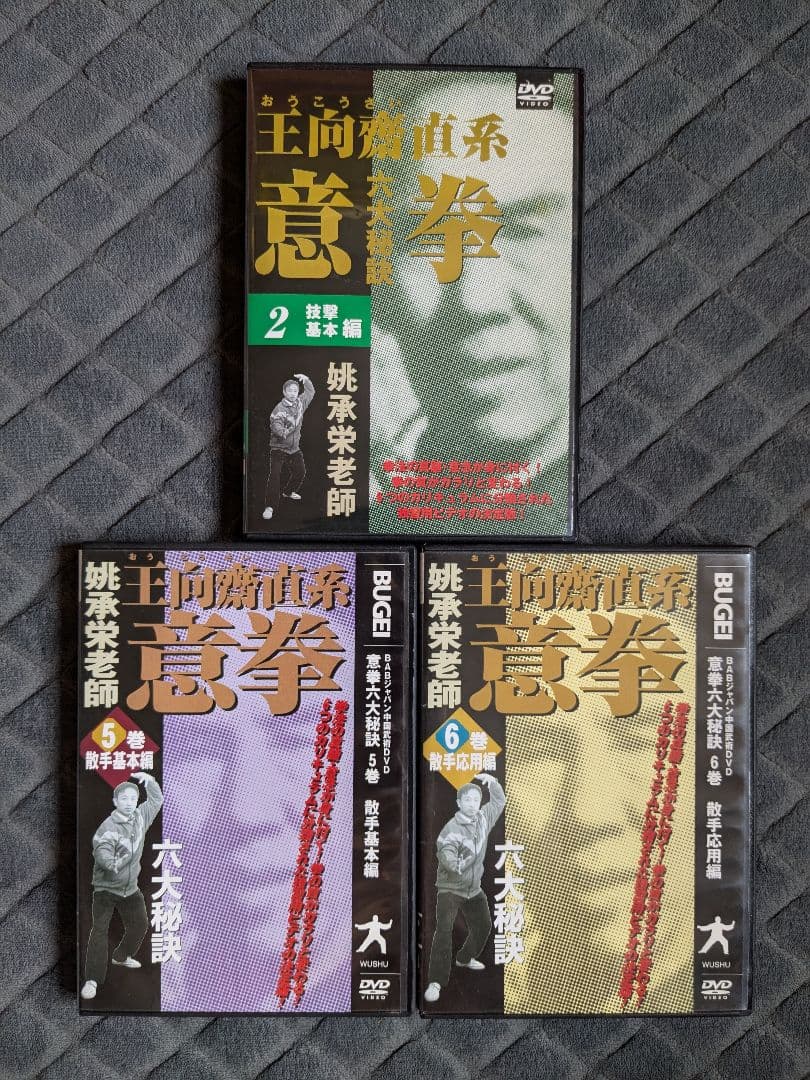 王向齋直系 姚承栄老師 意拳 六大秘訣 DVD 3本セット 中国武術 DVD6巻セット 『王向齋直系 意拳 六大秘訣』（通販限定）