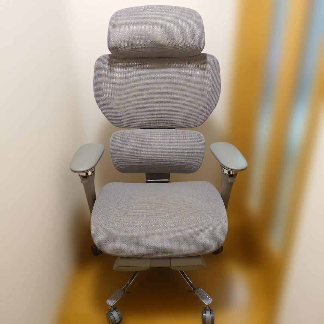 FlexiSpot・C7 Morpher グレー オフィスチェア - メルカリ