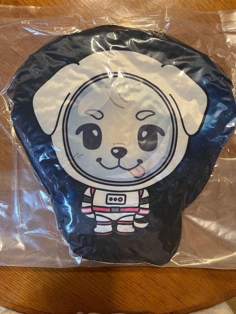 がんちゃんLOVE❤️プロフィール必読様専用 - メルカリ