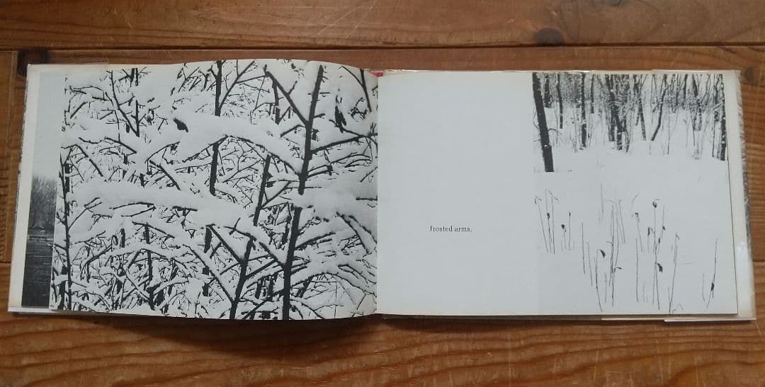 Hellen Buttfield【The Park】写真集★tamiserタミゼ