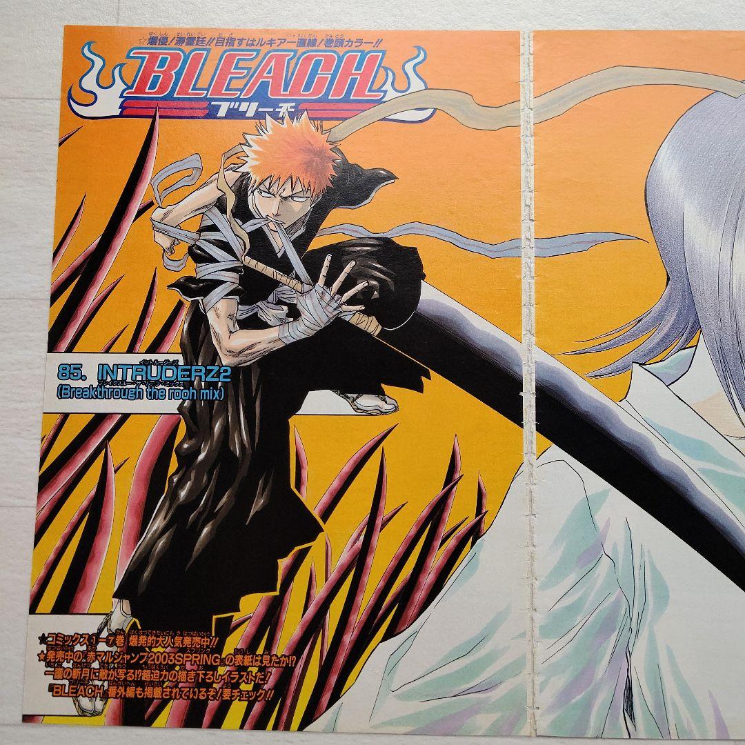 BLEACH 切り抜き 黒崎一護 朽木ルキア 久保帯人 ブリーチ 初期 扉絵
