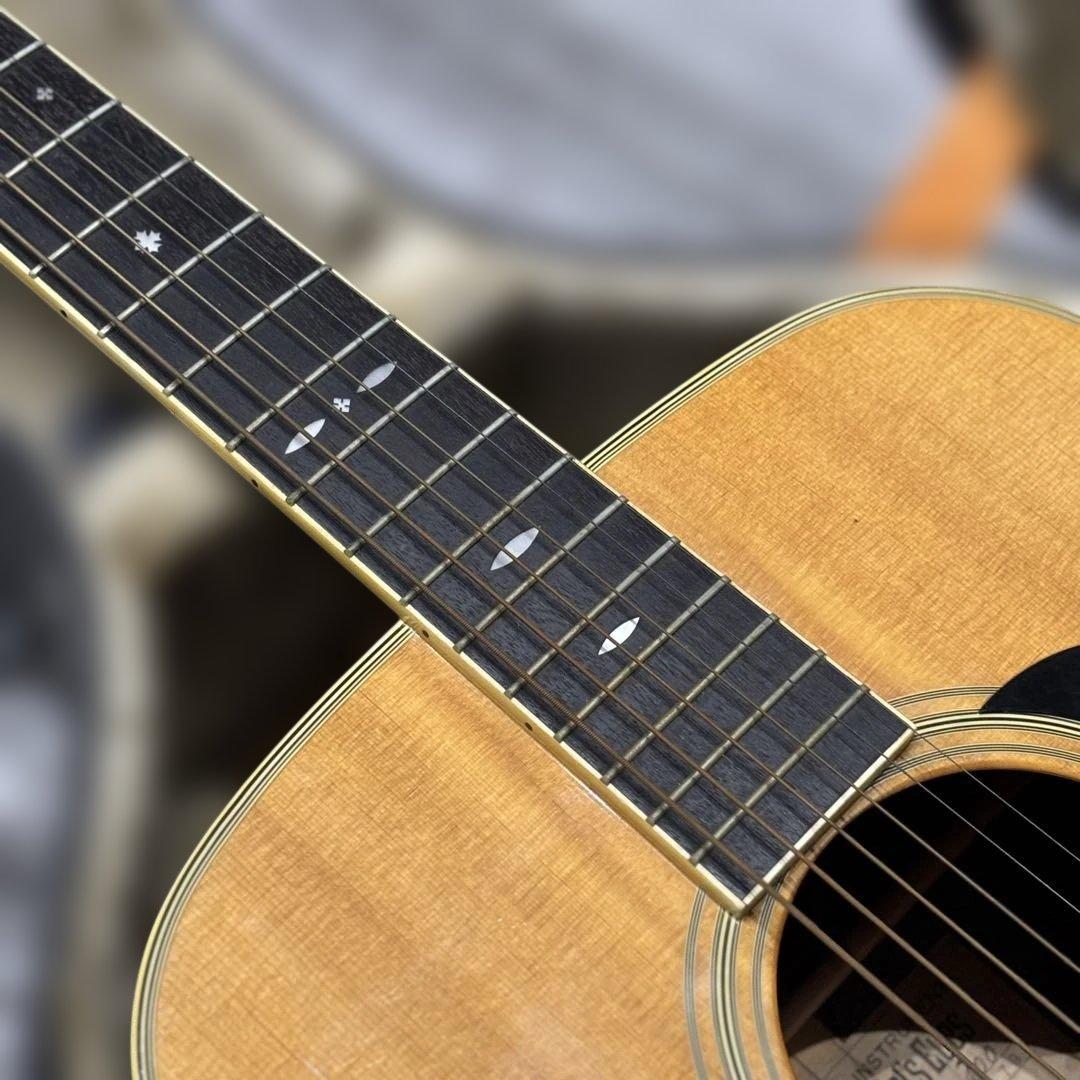 希少】Tokai Cats Eyes CE-400ハードケース付 保証書付き - メルカリ