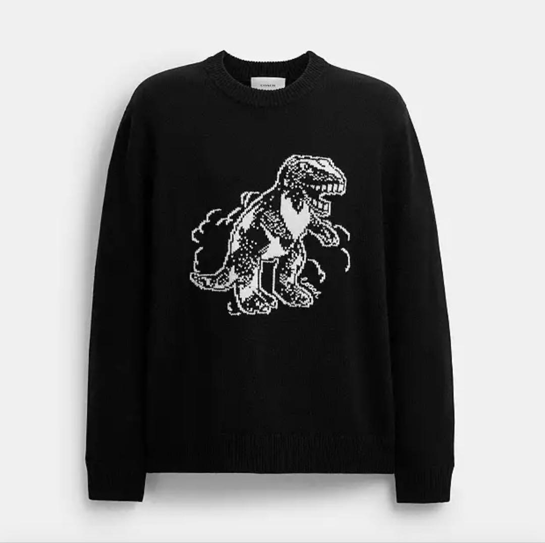 a*a様 Coach レキシーセーター 公式】COACH – コーチ | レキシー クルーネック セーター