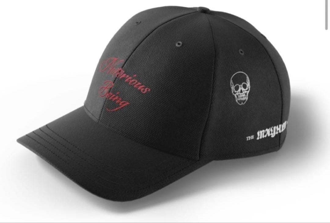 Lady Gaga NOTORIOUS BEING HAT - メルカリ