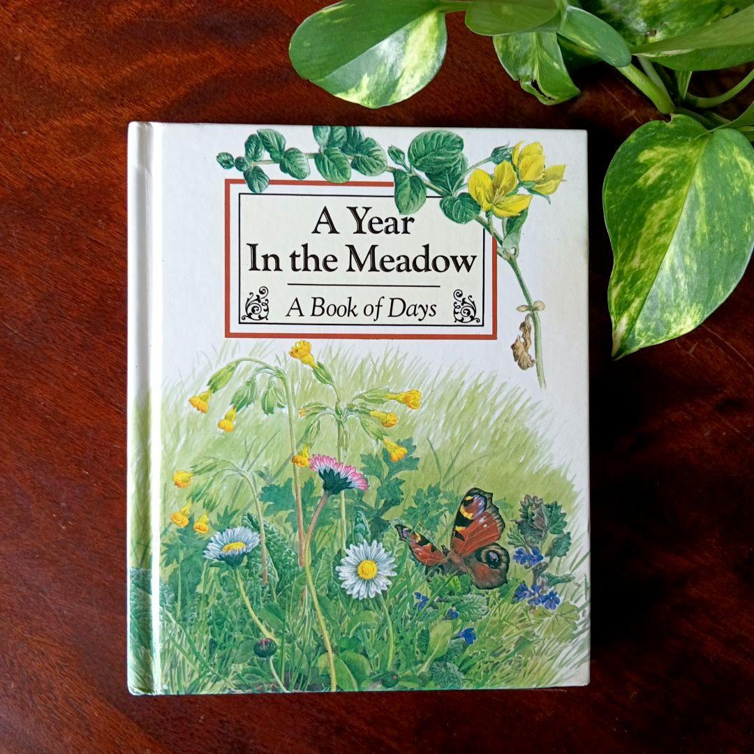 洋書古書 美しい日々の本 日記 記録 画集 ボタニカルアート 植物図鑑