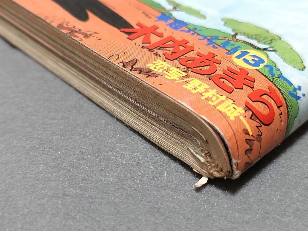 ヤングマガジン1994年15号『サバンナのハイエナ』新連載巻頭カラー