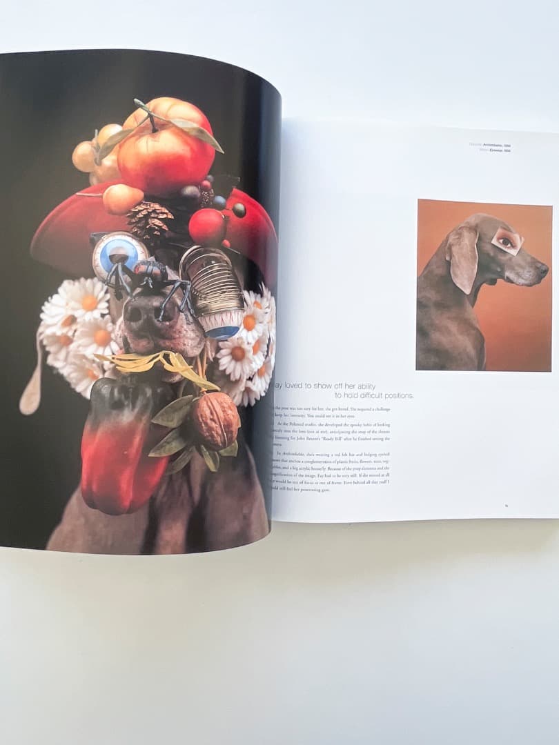 アート・デザイン・音楽 William Wegman \"Polaroids\"