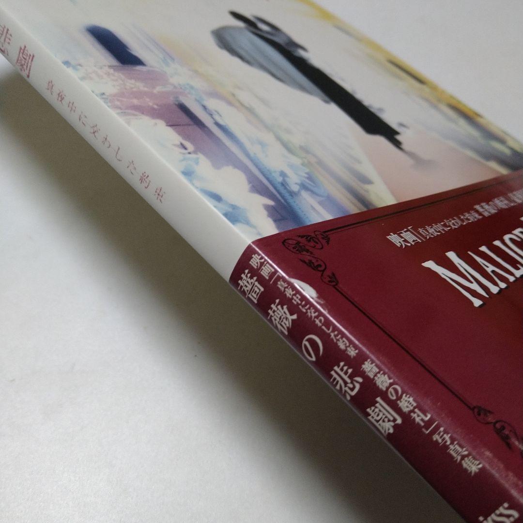 MALICE MIZER 薔薇の悲劇 真夜中に交わした約束 写真集